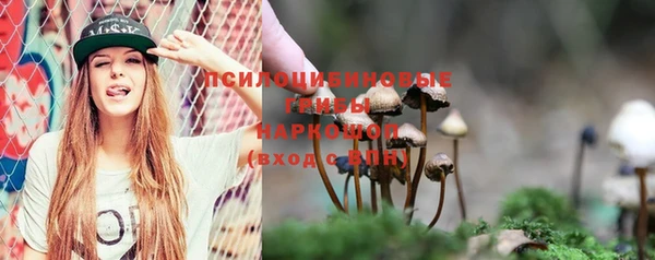 Альфа ПВП Беломорск