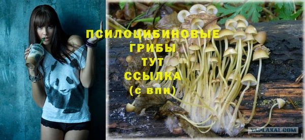 Альфа ПВП Беломорск