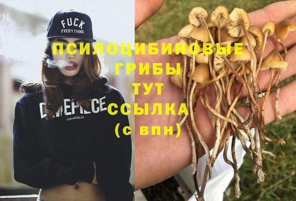 прущая мука Белокуриха