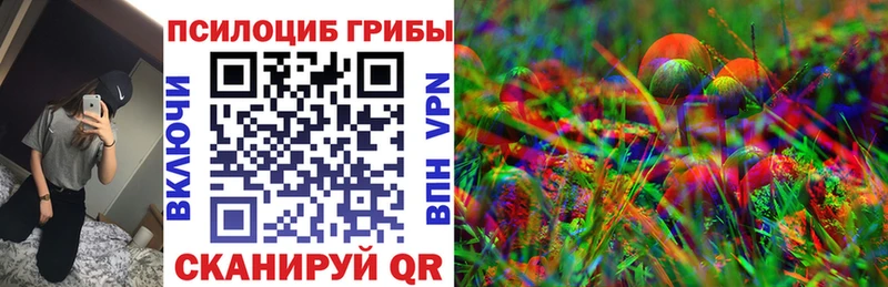 наркошоп  Топки  Псилоцибиновые грибы MAGIC MUSHROOMS 